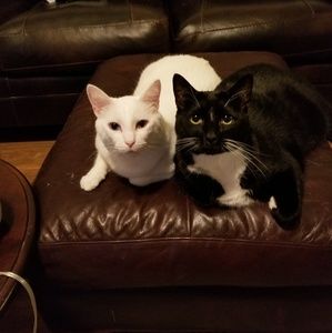 Meet your Posher, Jennifer